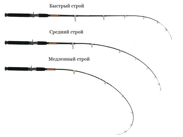 Основные три вида строя. Фото с сайта spinningline.ru