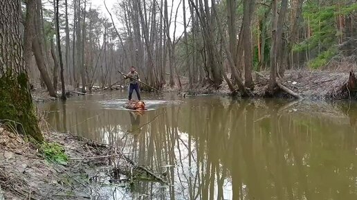 выживание в лесу — Video | VK