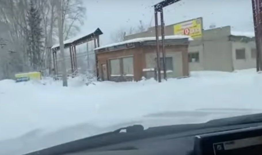 © Найти склад с брошенными животными не так-то просто. Скриншот из видео.📷
