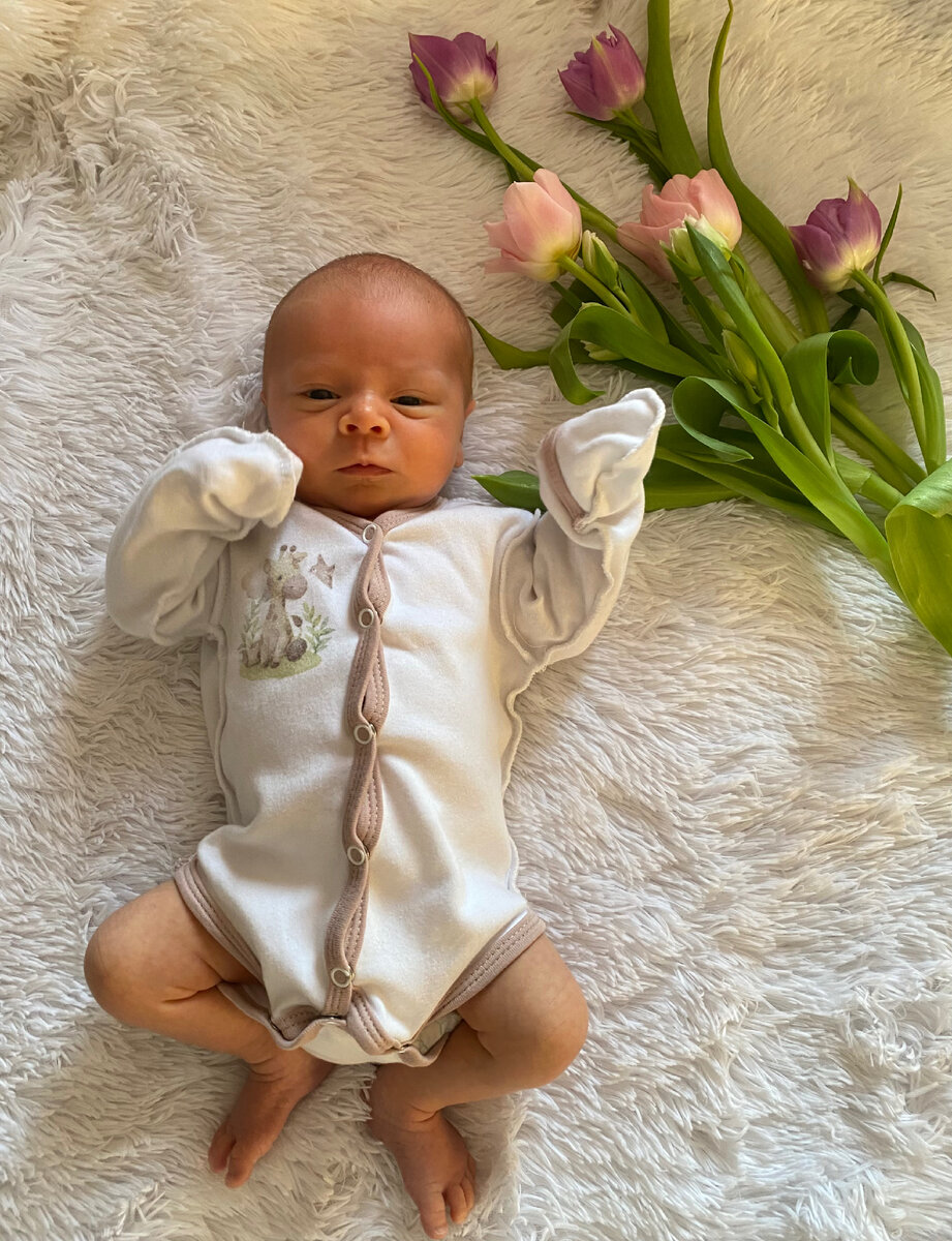 Желтый цыпленок