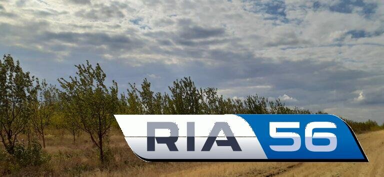    Оренбуржцев предупреждают об усилении ветра Кристина Просвиркина