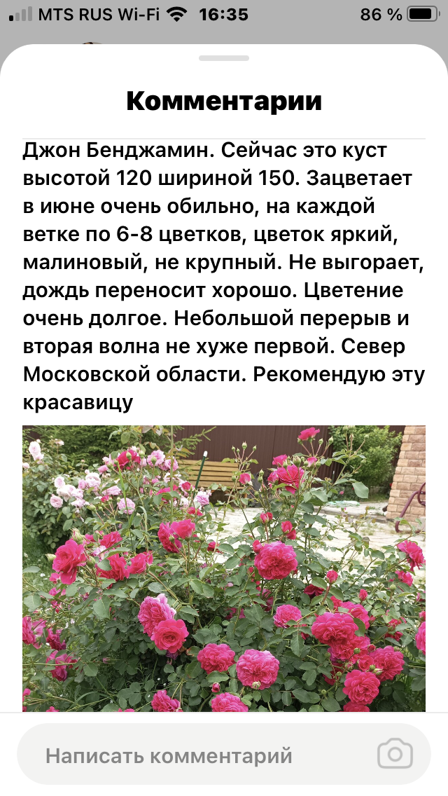 Листайте галерею. 2 фото 