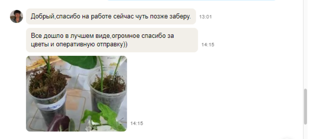 переписка