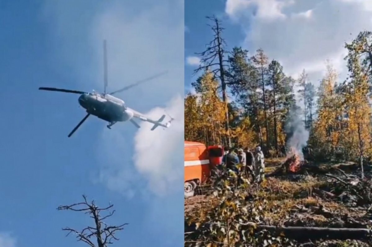    В Красноярском крае нашли двух мужчин, которые пропали в лесу 7 сентября