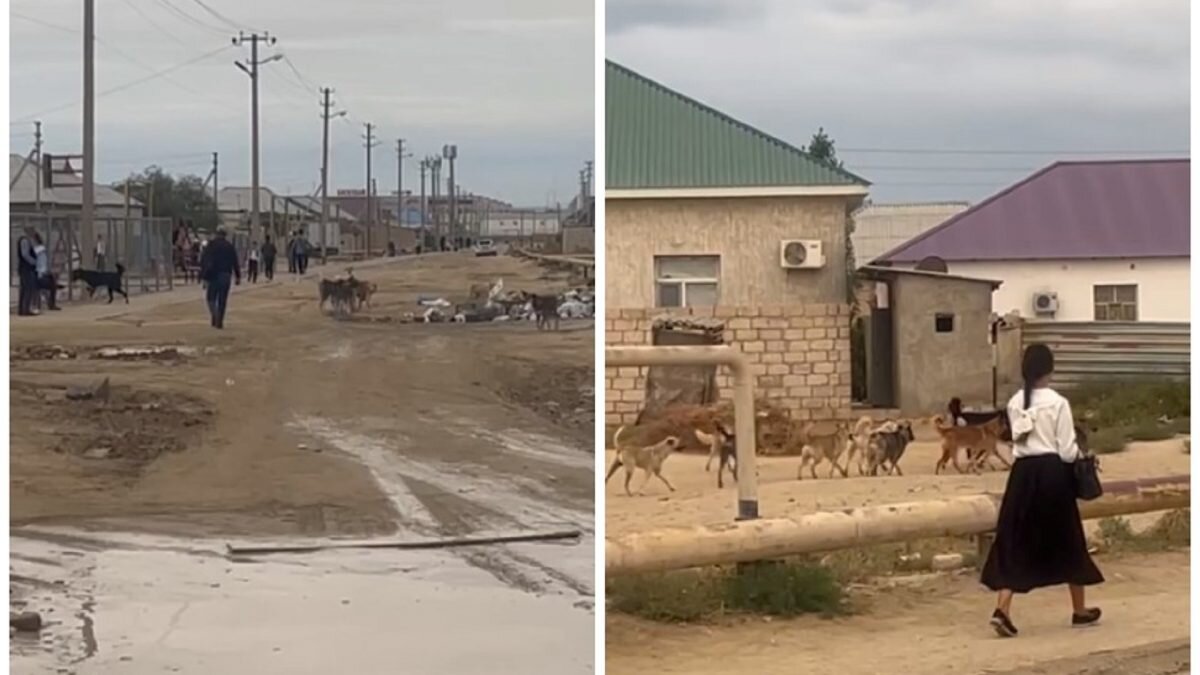    Фото: скриншот из видео. Анатолий Пак