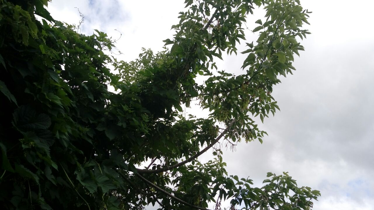 Фото автора.