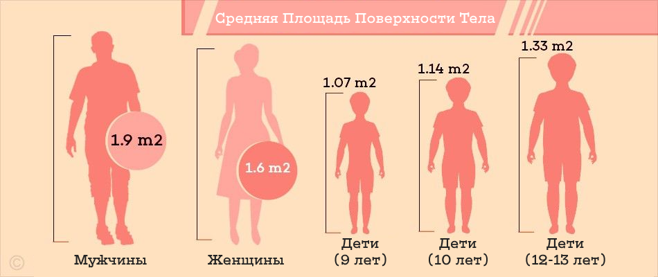 Площадь поверхности тела калькулятор. BSA body surface area. Body areas. Body surface area Formula. Body surface area 3600.