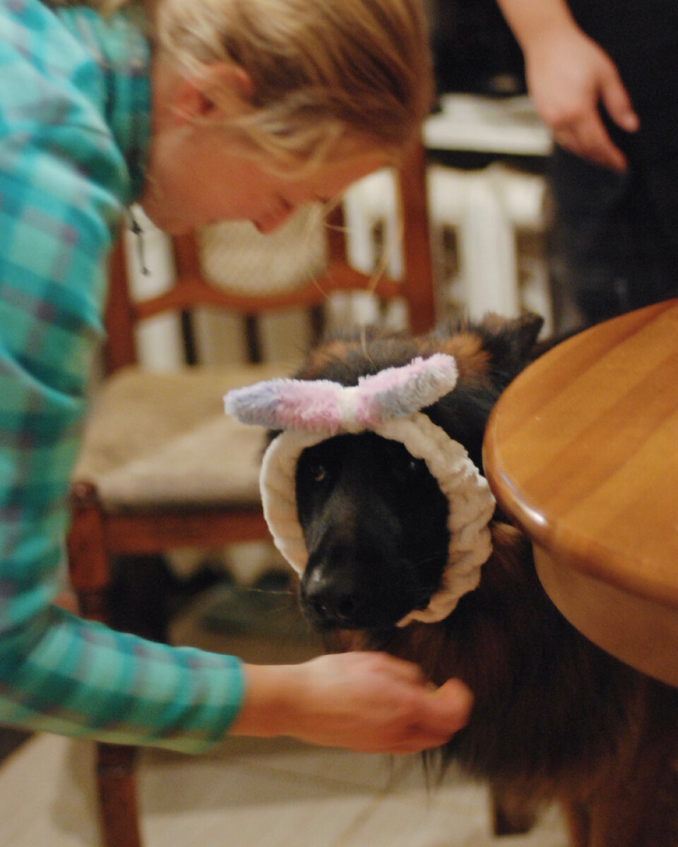 Локи учится команде «стыдно»