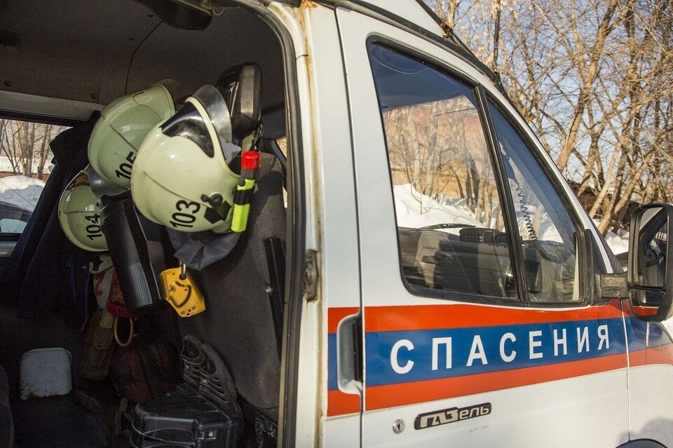    У пермячки сел телефон, и она осталась совсем одна в темном лесу. Николай ОБЕРЕМЧЕНКО