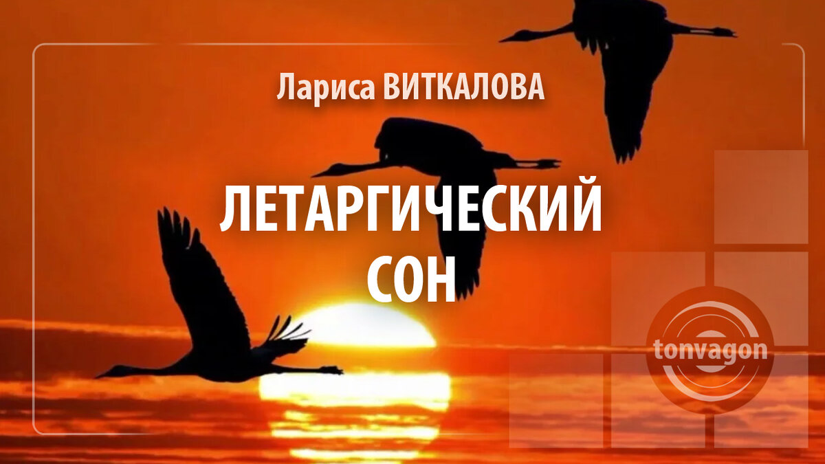 Стихотворение участвовало в конкурсе проекта ТОН-ВАГОН