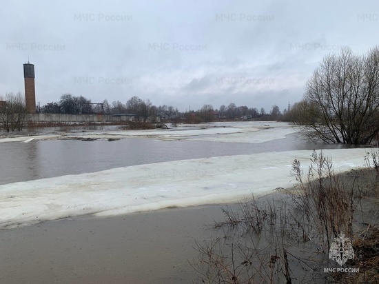     Фото: 67.mchs.gov.ru