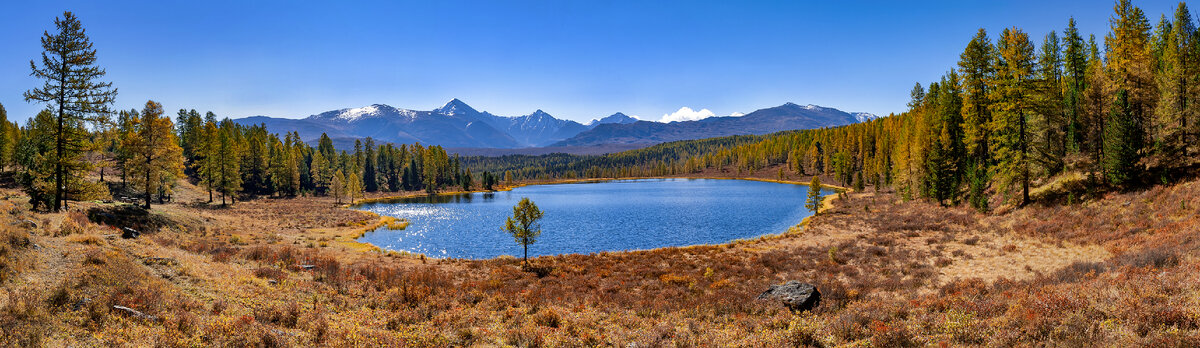 Фото, которое было взято за основу композиции.
