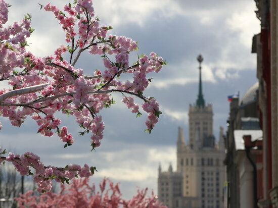   Геннадий Черкасов