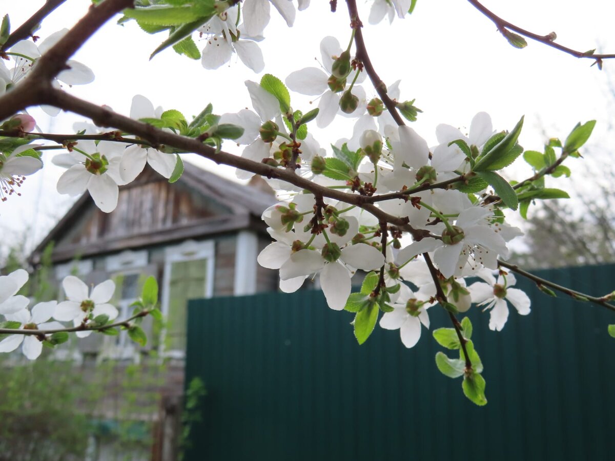 фото из личного архива