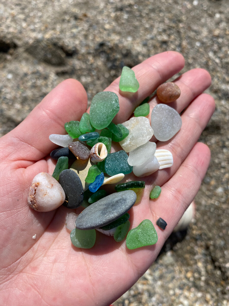 Морские дары