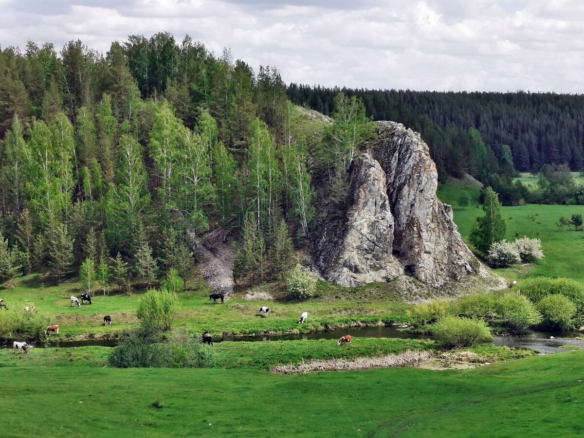 Кашинское Городище Богданович