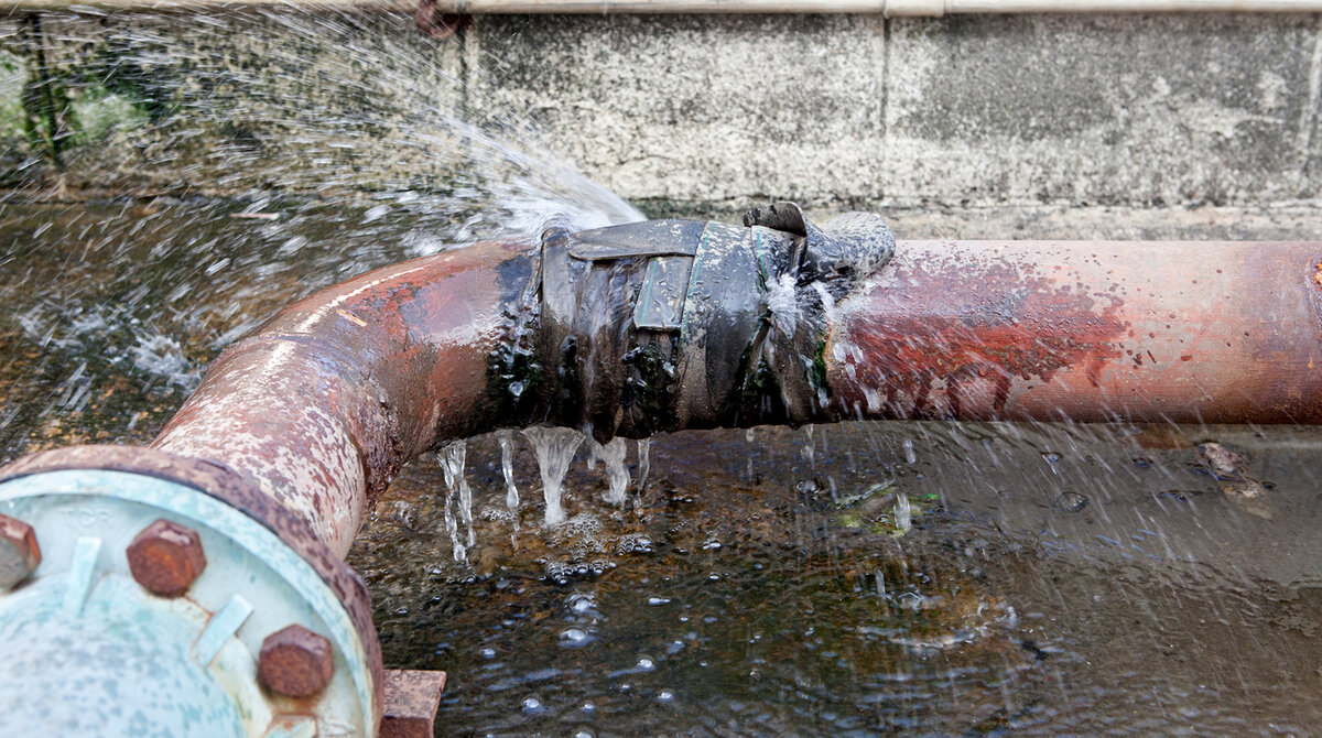 фото из интернета