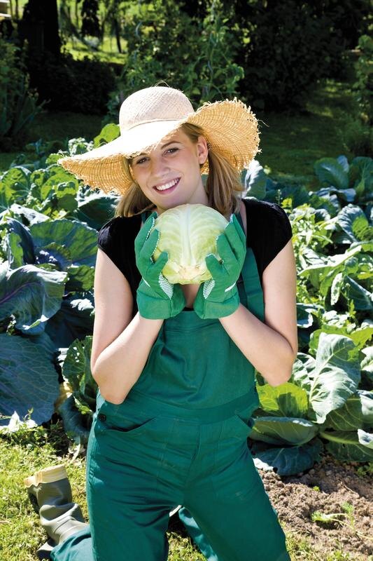 Фотография из открытого источника.