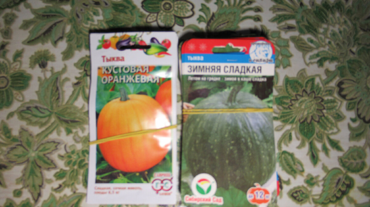 Тыква "Кустовая оранжевая" и "Зимняя сладкая".