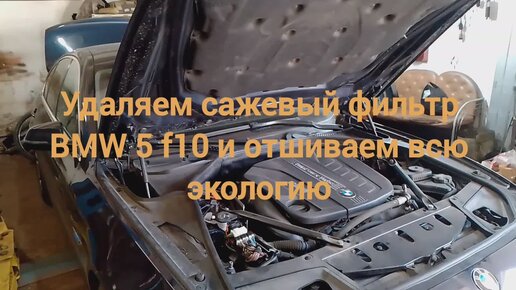 Профилактически удаляем сажевый фильтр BMW F10 физически и программно по просьбе владельца