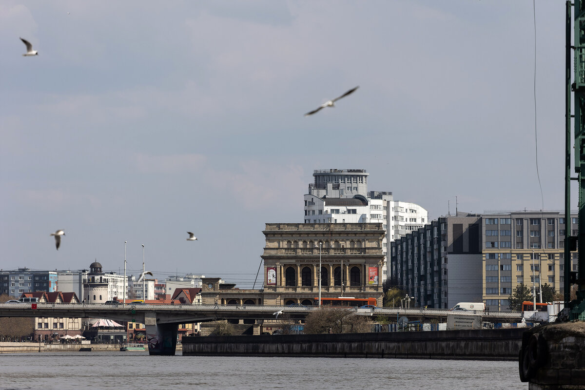 Фото: Юлия Власова, Калининград.Ru