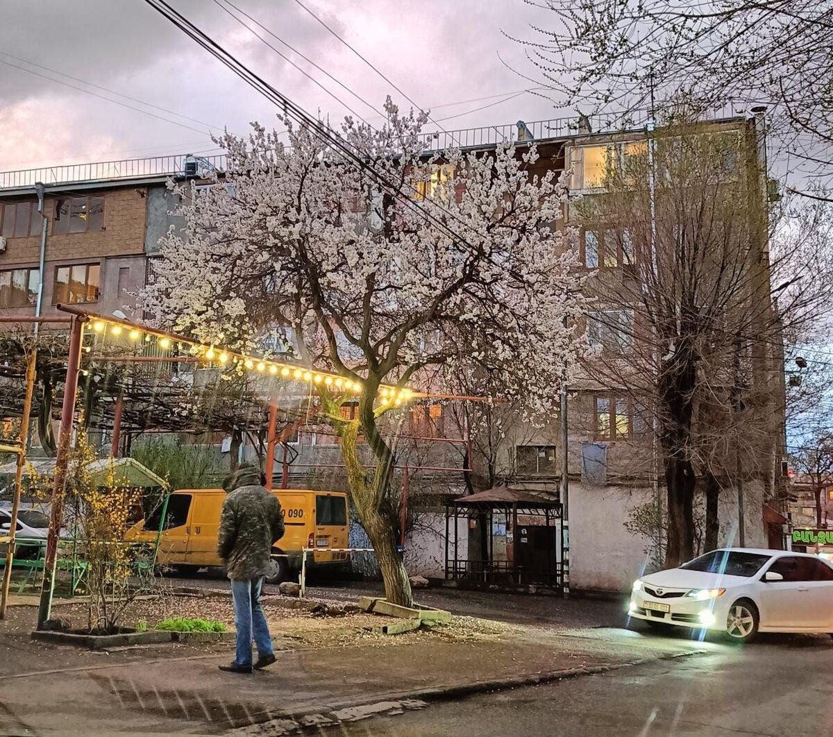 фото: Царьград