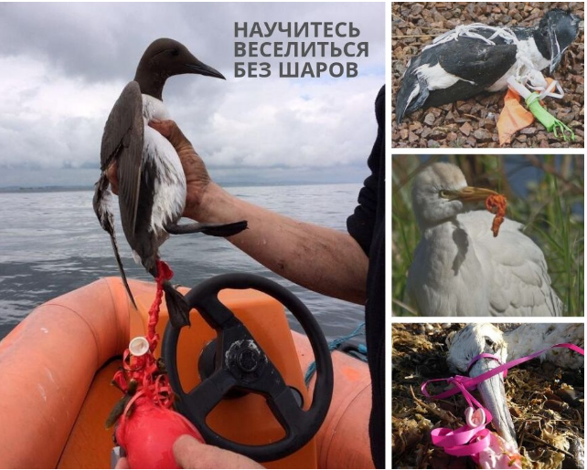 Фото: https://ampravda.ru/