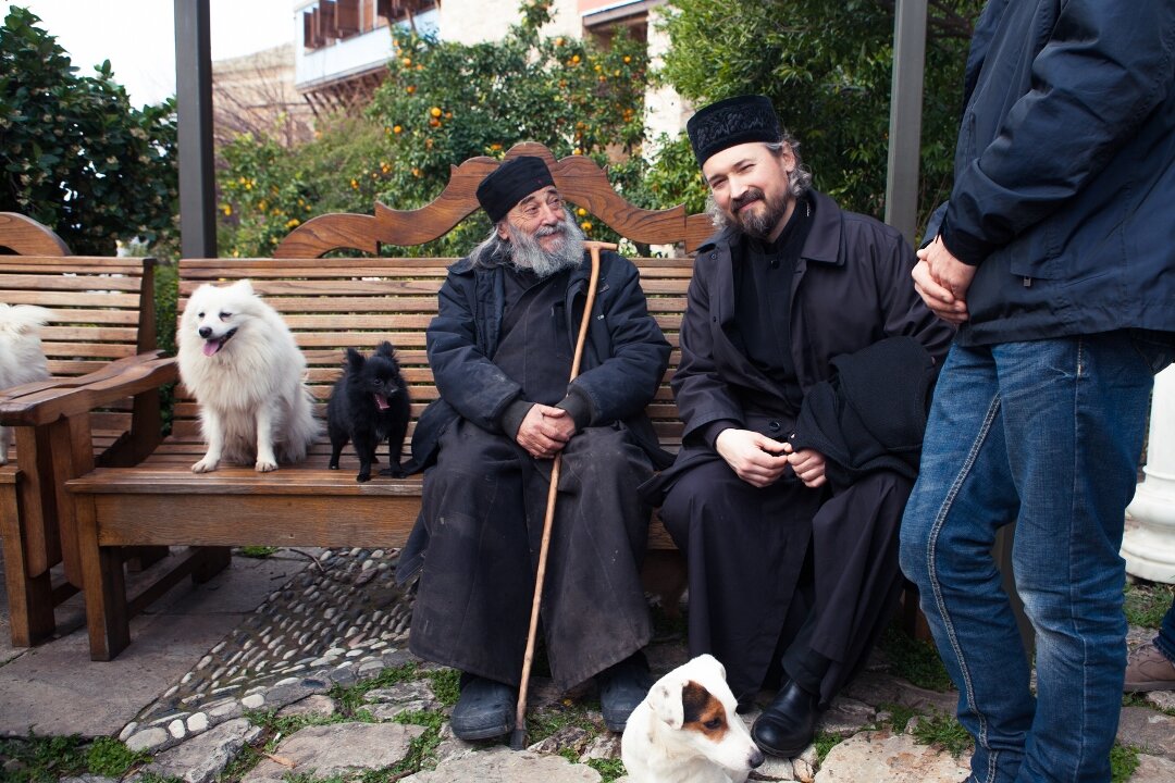 Собаки Дохиарского монастыря