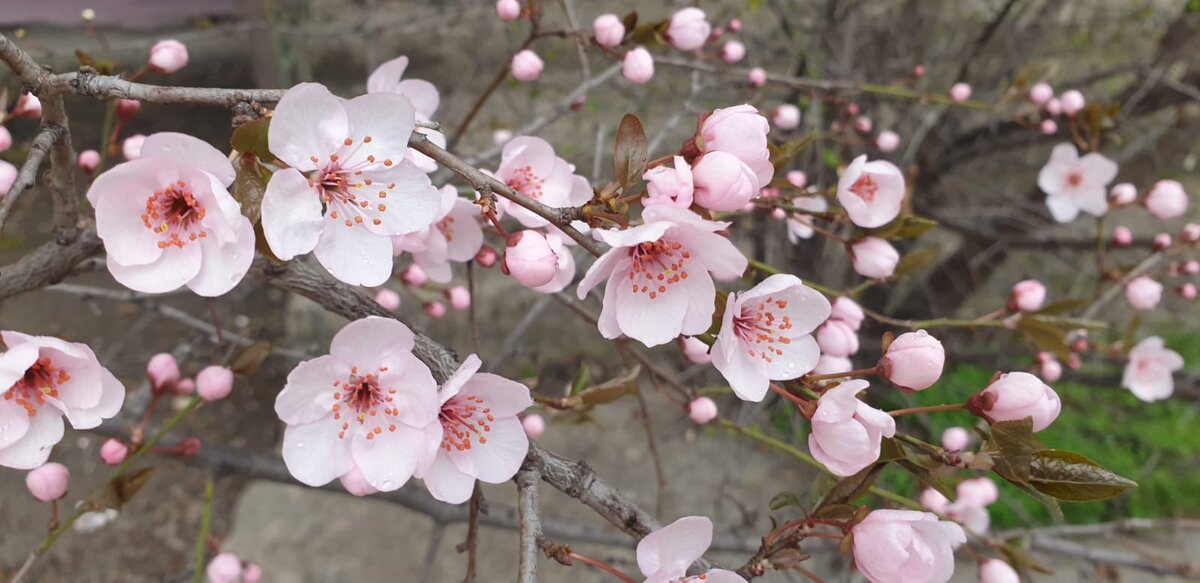 Фото автора канала