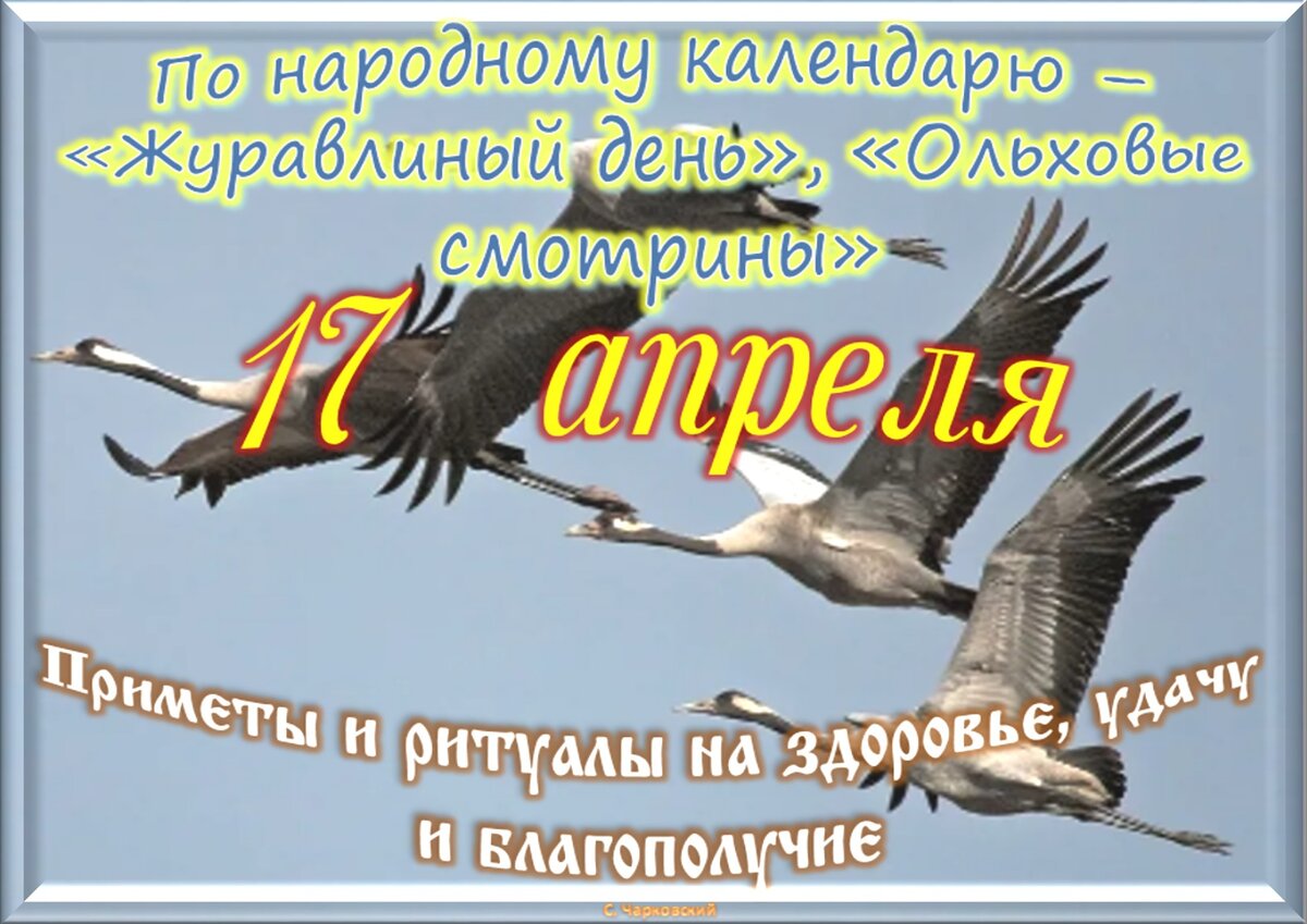 Встречаем новый день
