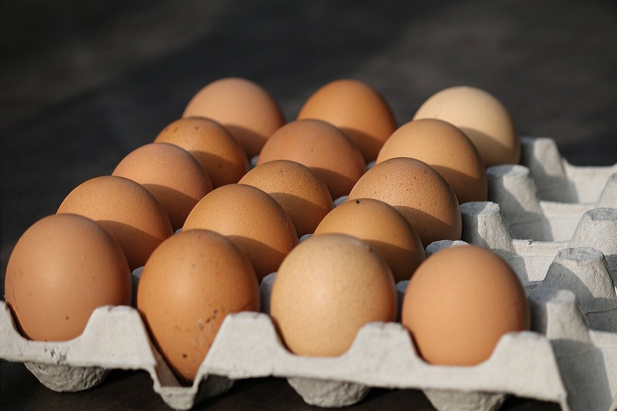 Яйцо куриное. Много яиц. Яйца кур. Яйца фото.