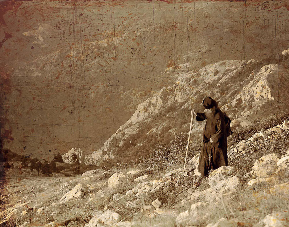 фото из открытого доступного источника сети интернет