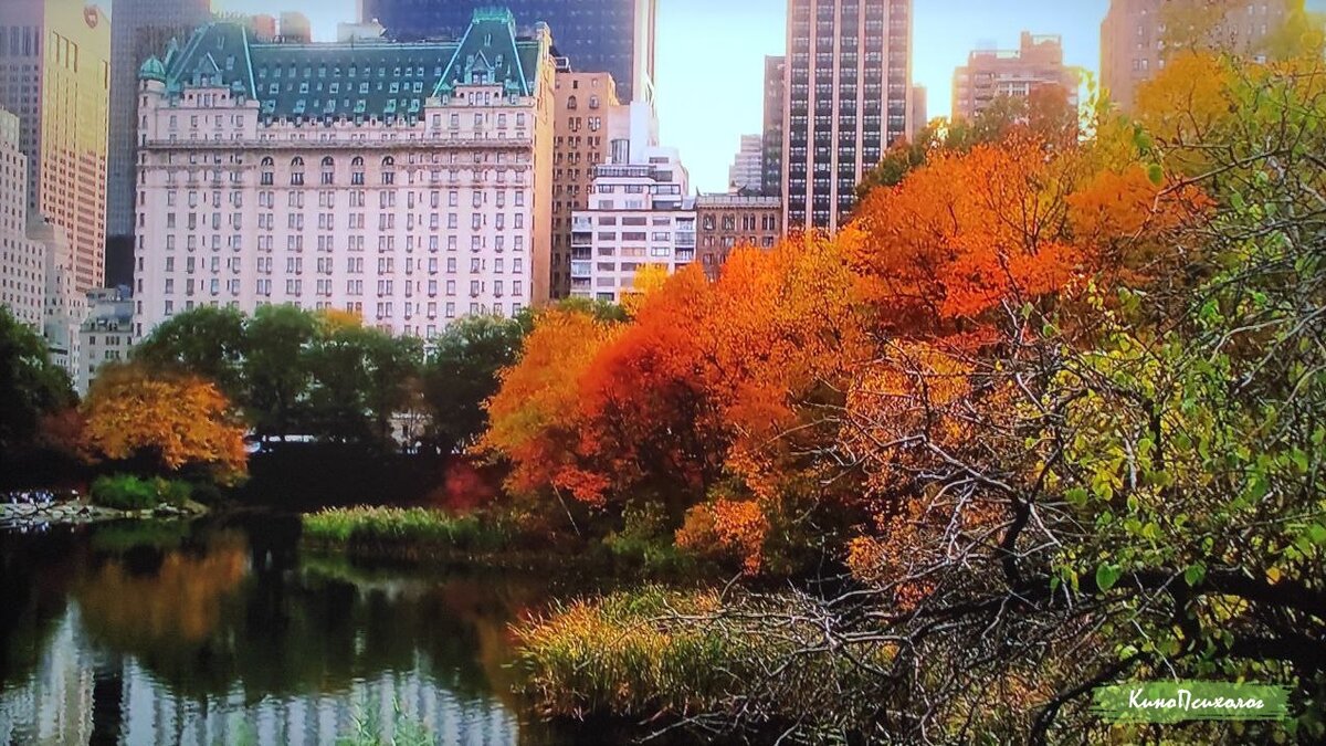 "Как я встретил вашу маму", кадр из фильма.