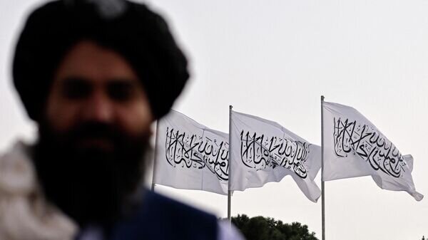    © AFP 2023 / KARIM SAHIB