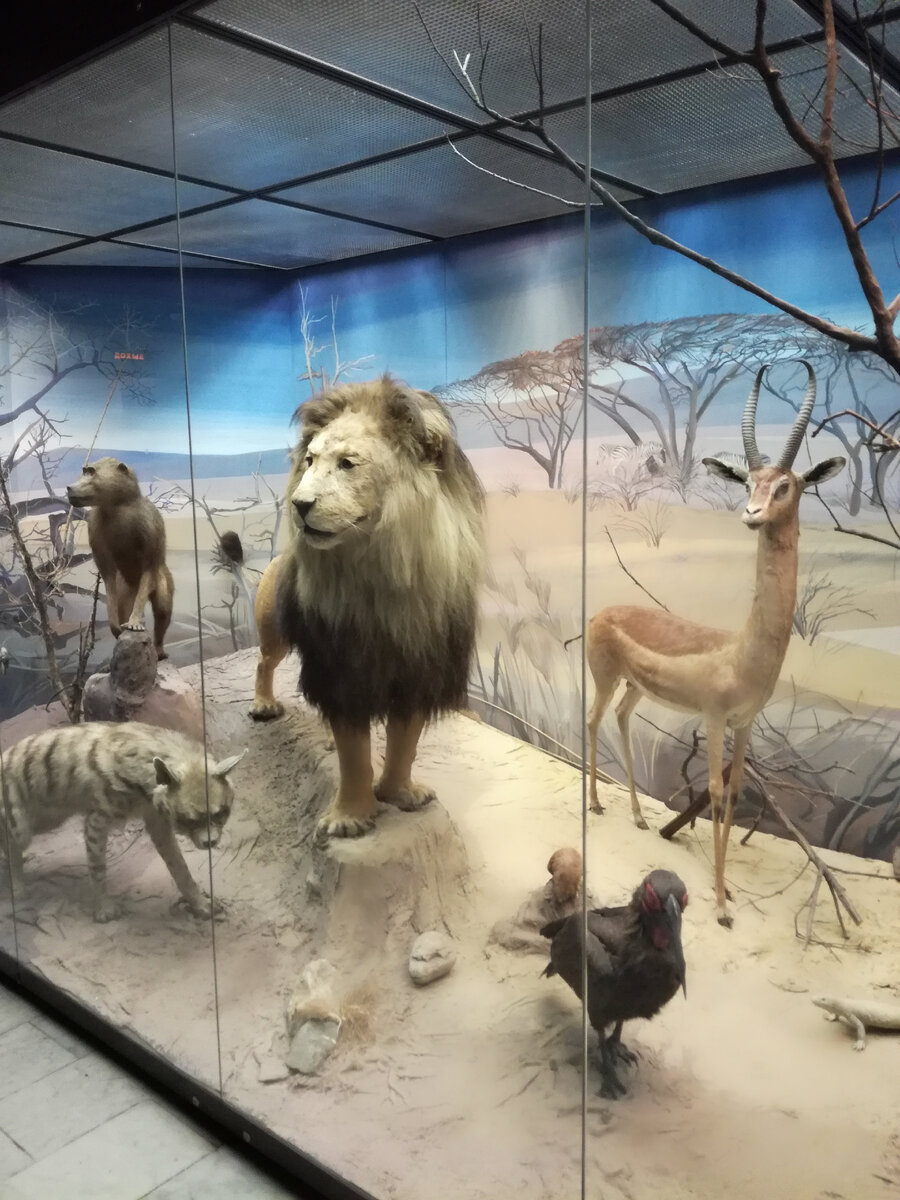 Есть разделение а природные зоны