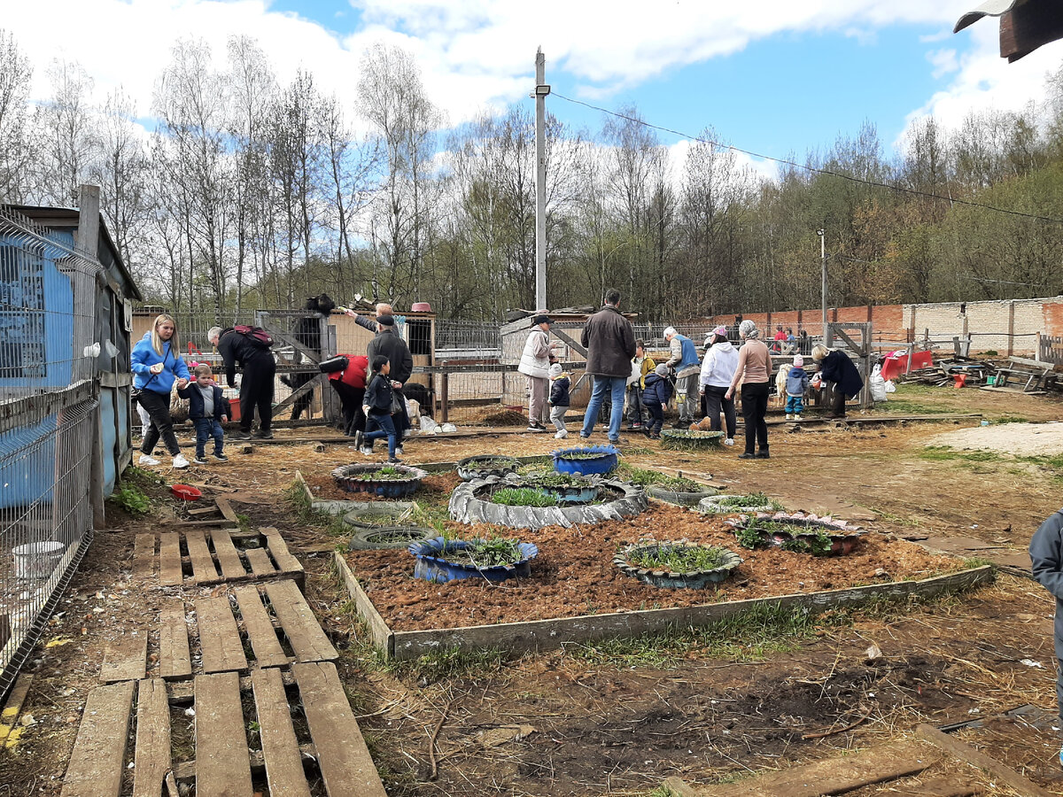 Примерно столько там народу в выходные