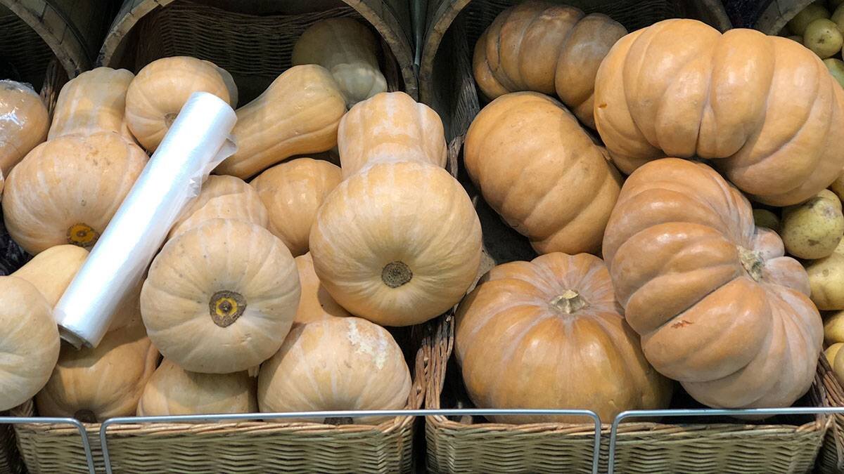    Фото: Мобильный репортер / АГН Москва