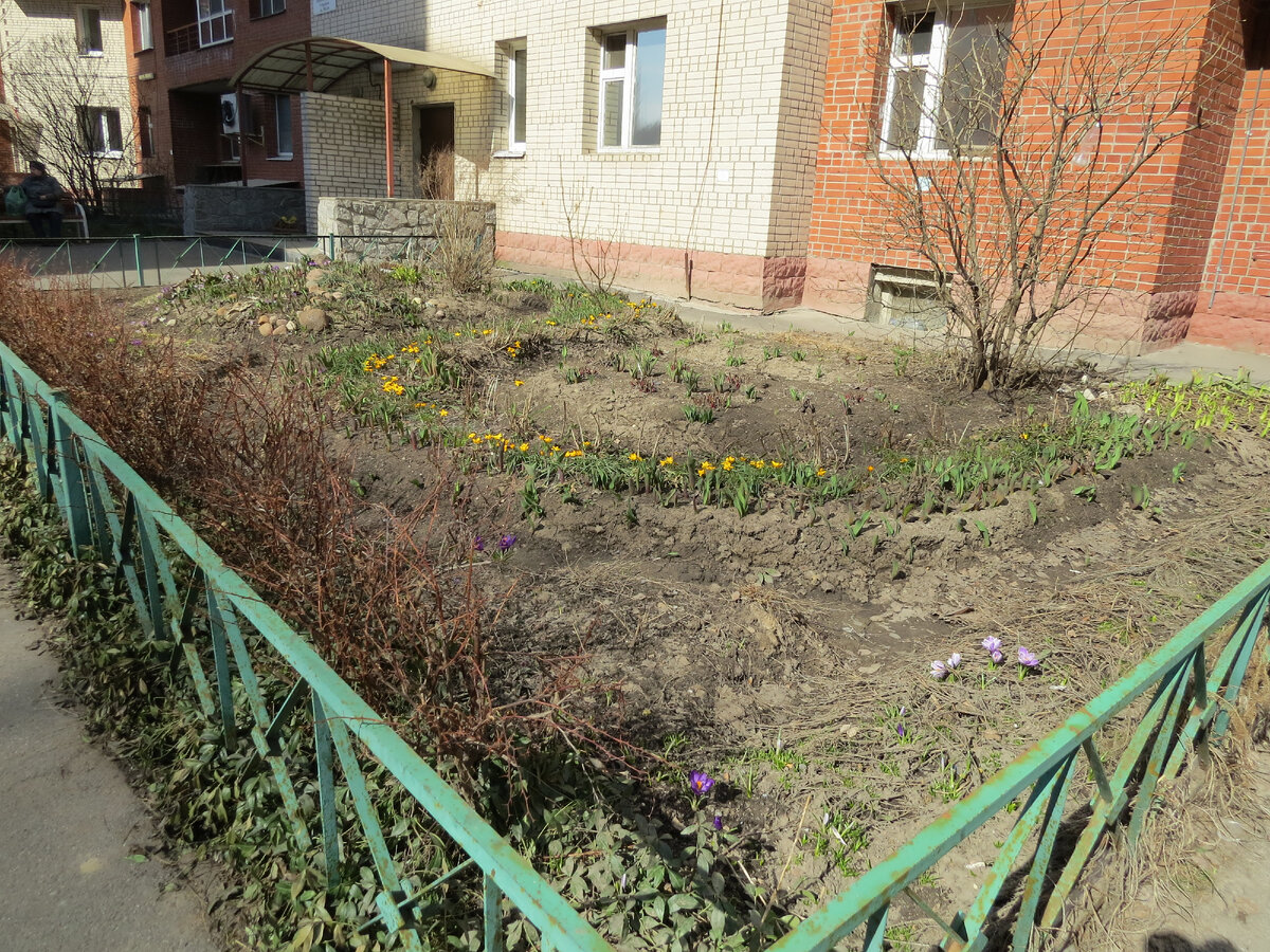 10.04.2023. Клумба 1. До уборки.