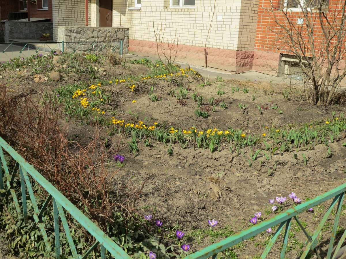 11.04.2023. Клумба 1. После уборки.