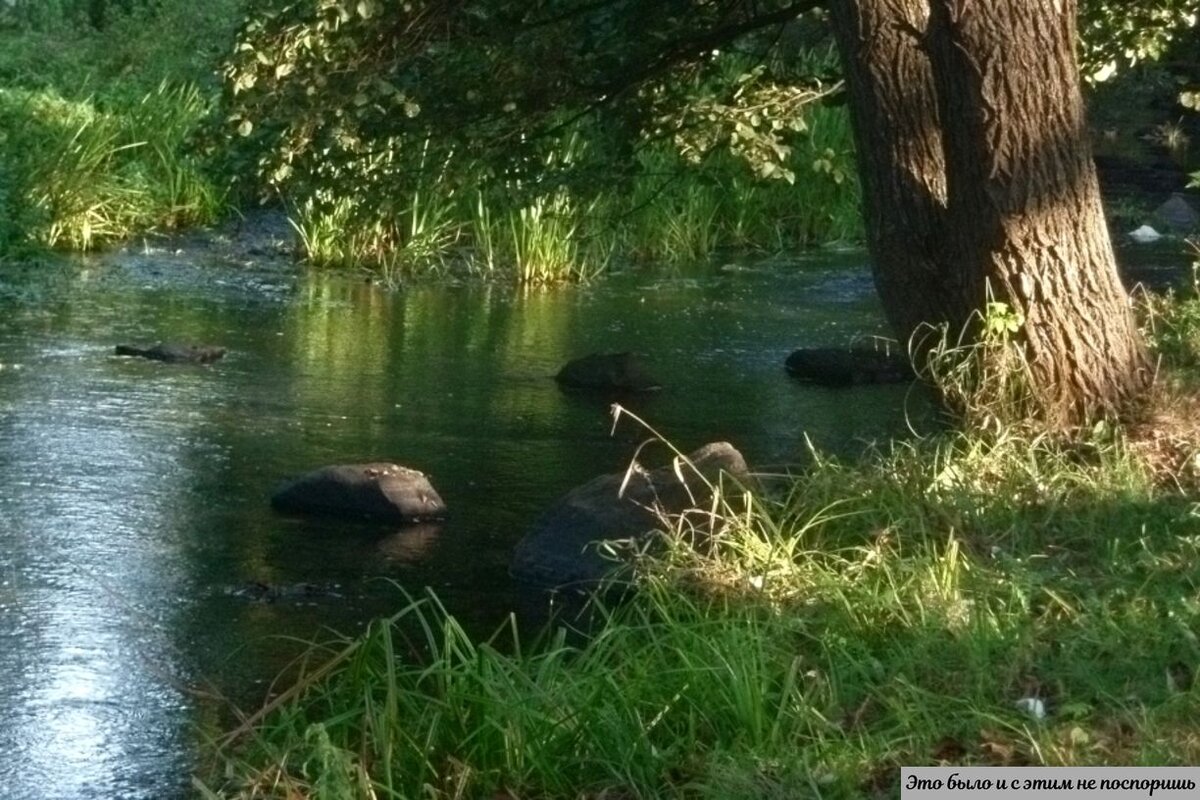 Одно из живописных мест проживания древлян. Фото взято с источника https://clck.ru/33hF5A 