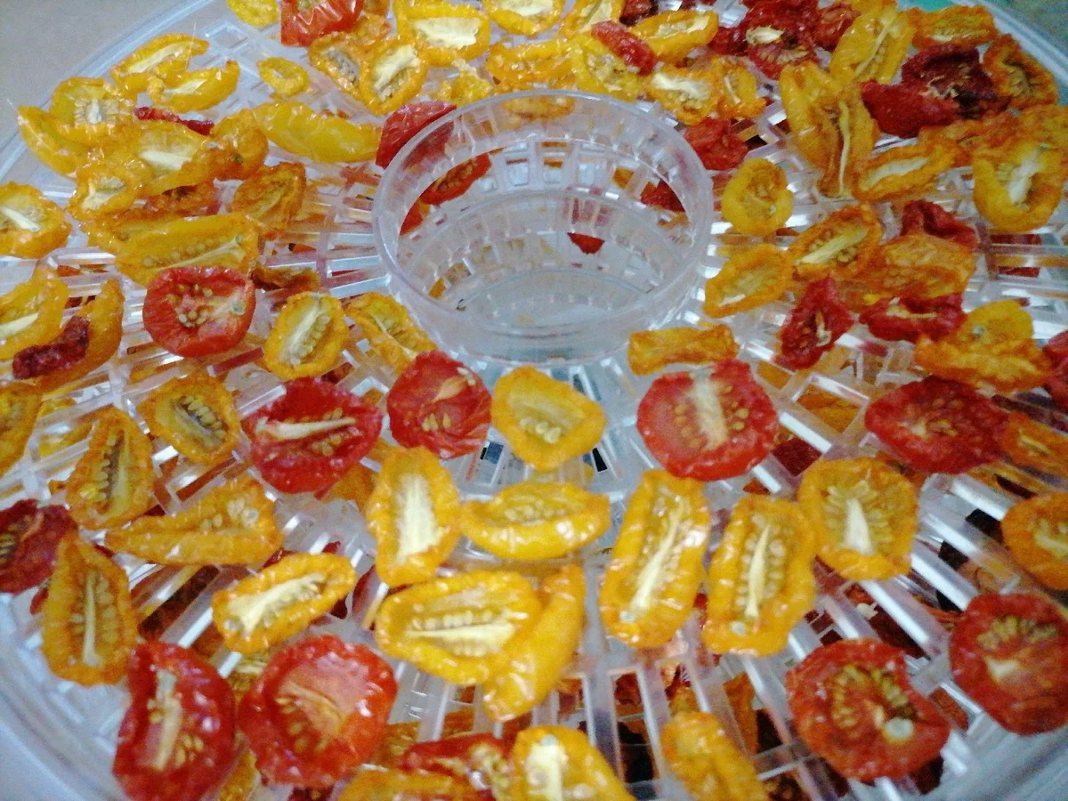 Черри вялила в сушилке