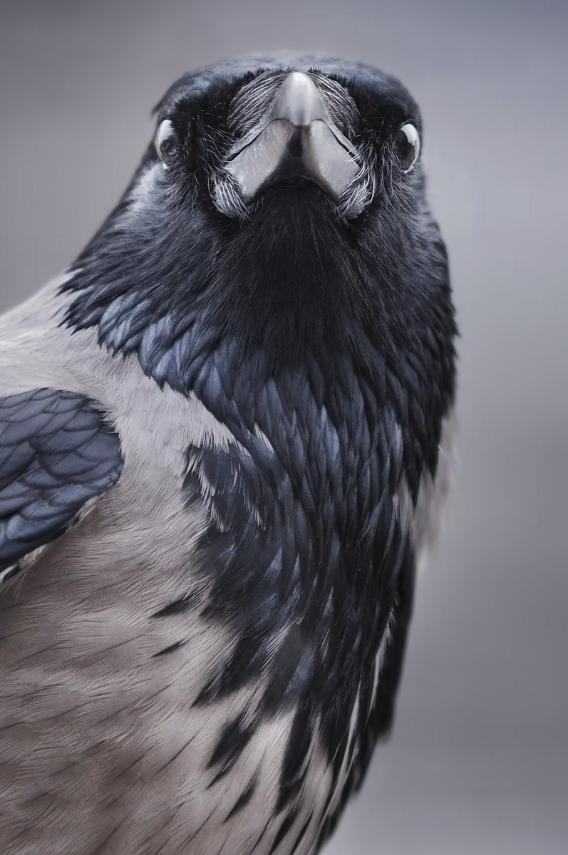 Фото unsplash.com