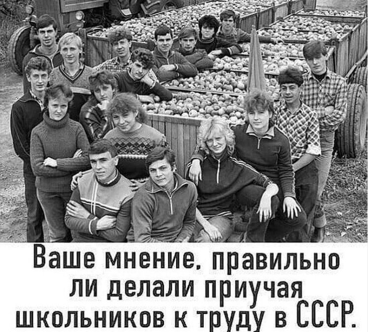 типичная "реклама" картошки 