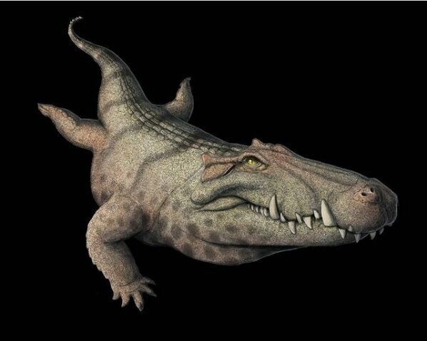 Когда ветер такой, что только держись!