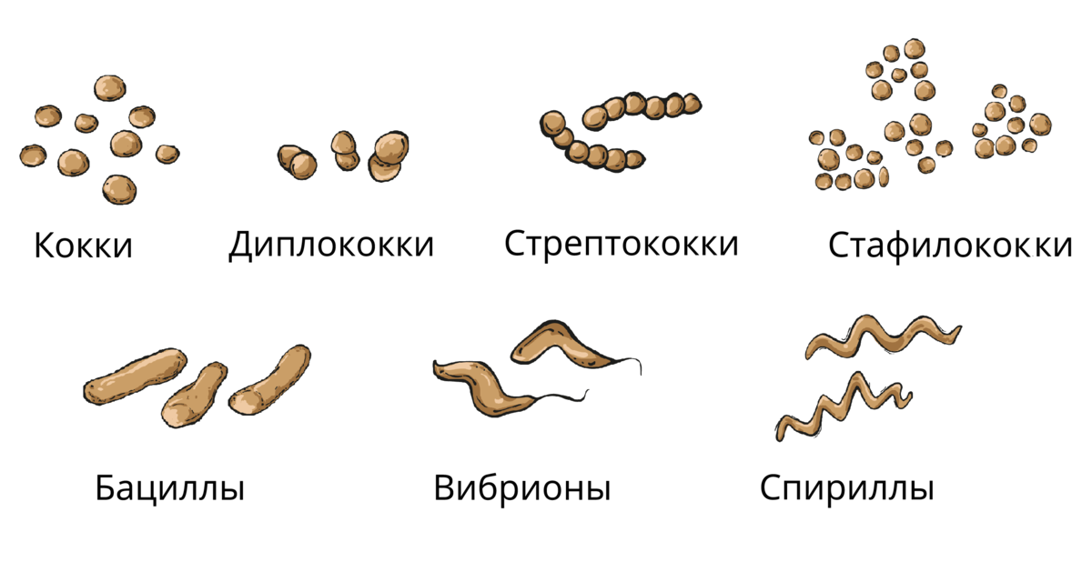 Стоковые фотографии по запросу Холера