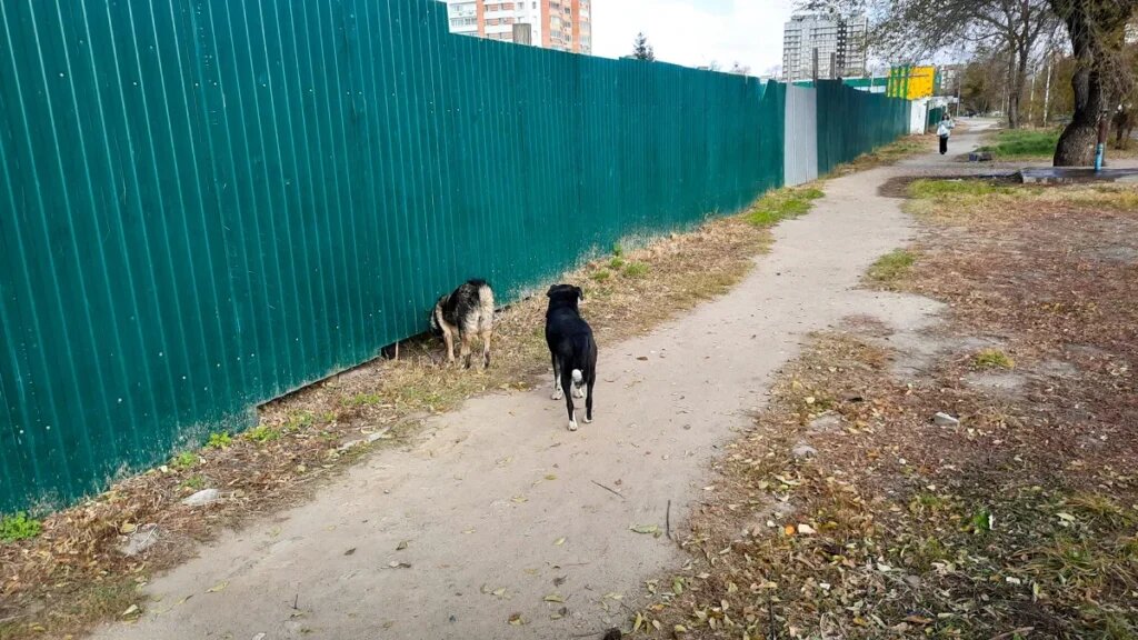    Фото: Амур.инфо