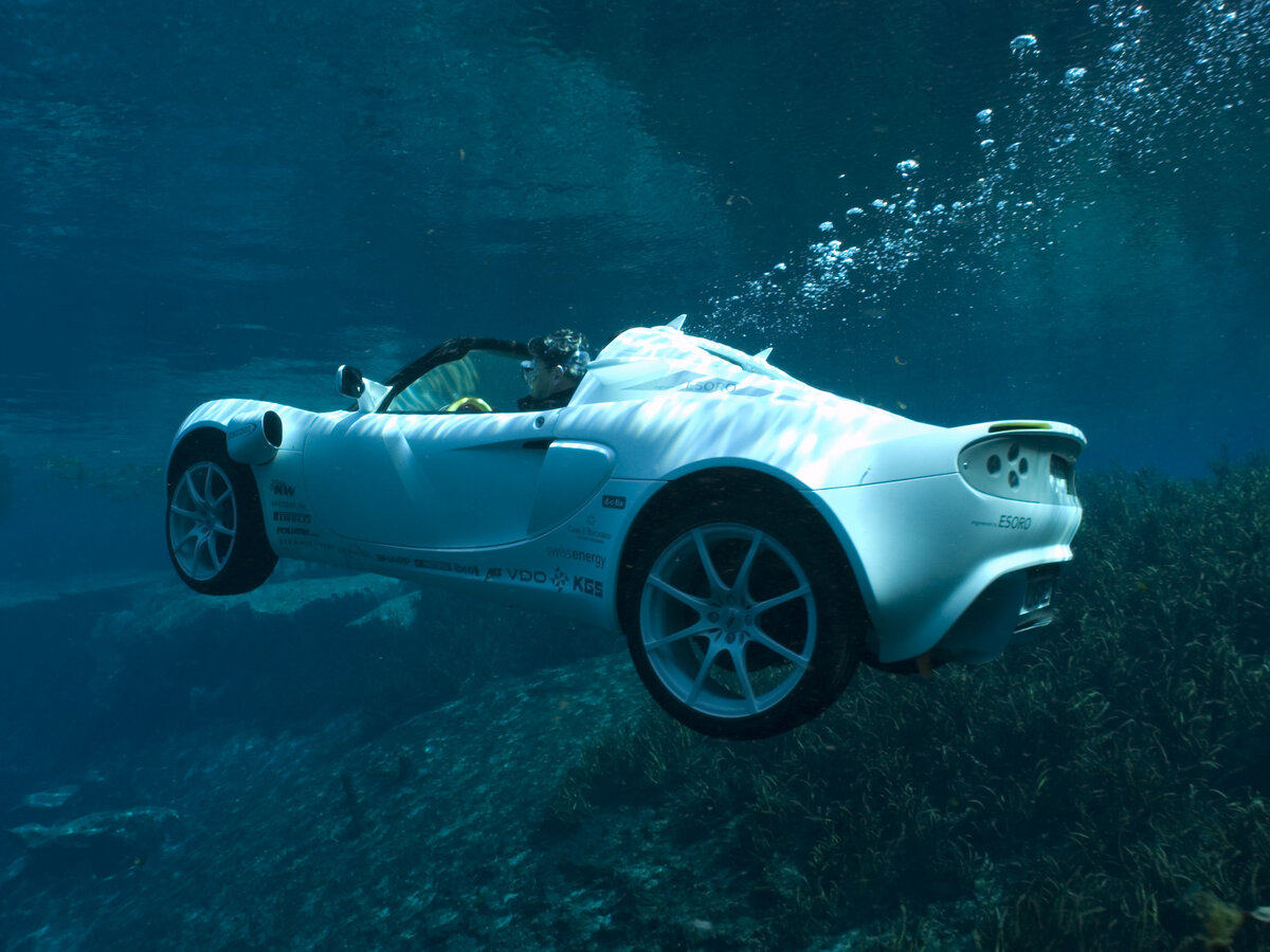 Фото взято из открытого источника