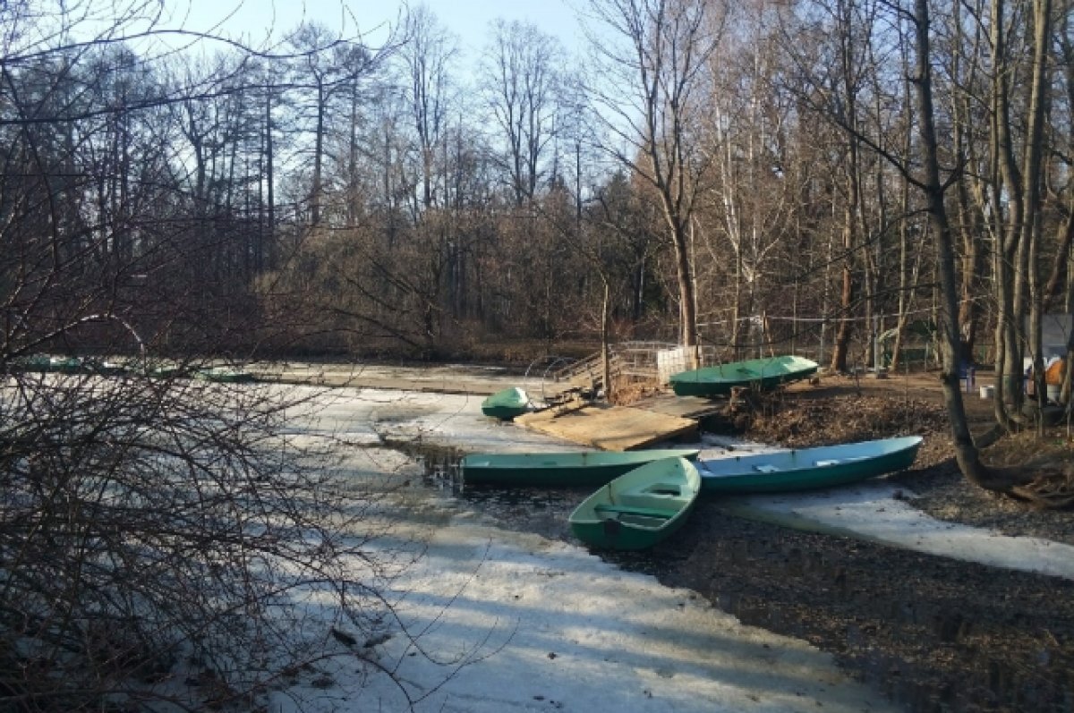    В Нижегородской области к выходным похолодает до +2°С