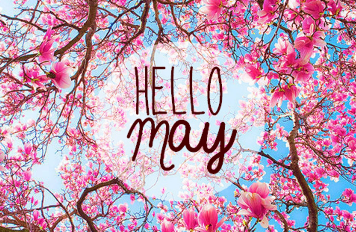 Hello may картинки