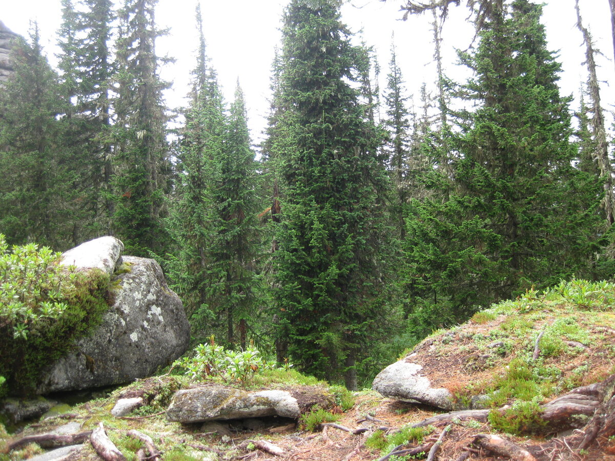 фото: Татьяна Викторова